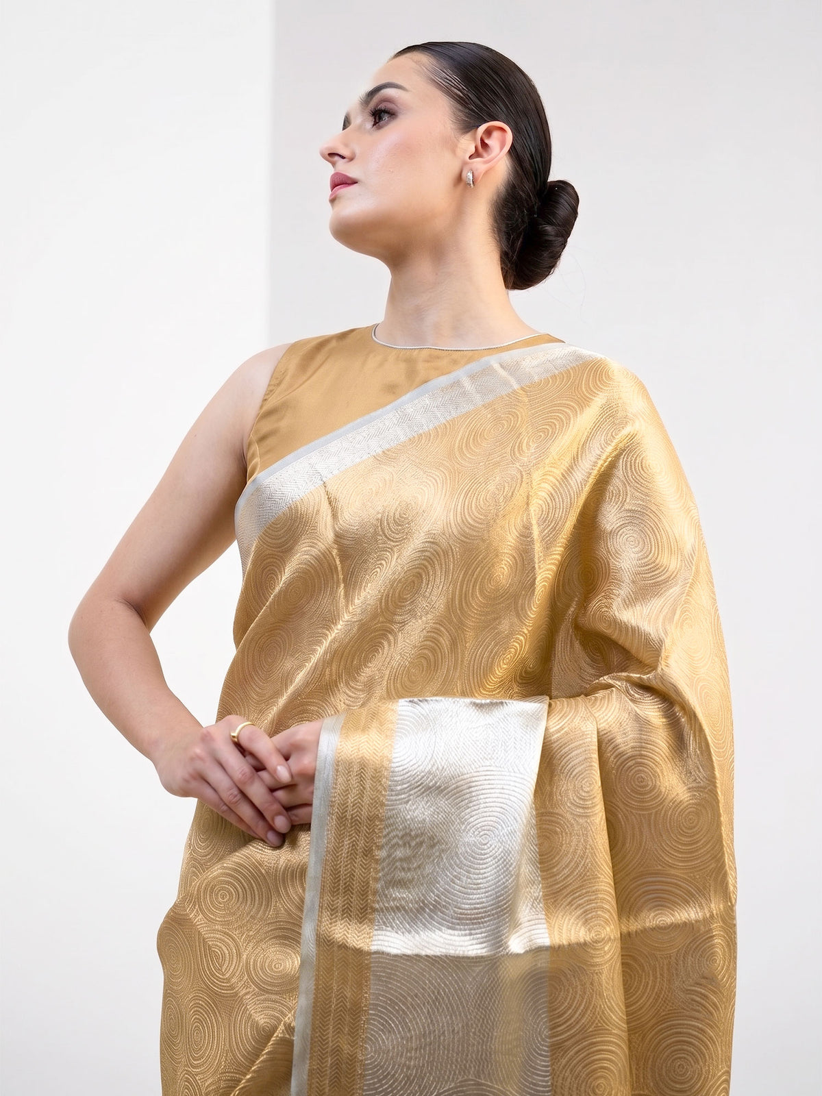 Pastel Sky-blue Tissue Brocade Handloom Banarasi Saree - Sacred Weaves