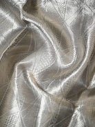 Pastel Blue Tissue Brocade Handloom Banarasi Saree - Sacred Weaves