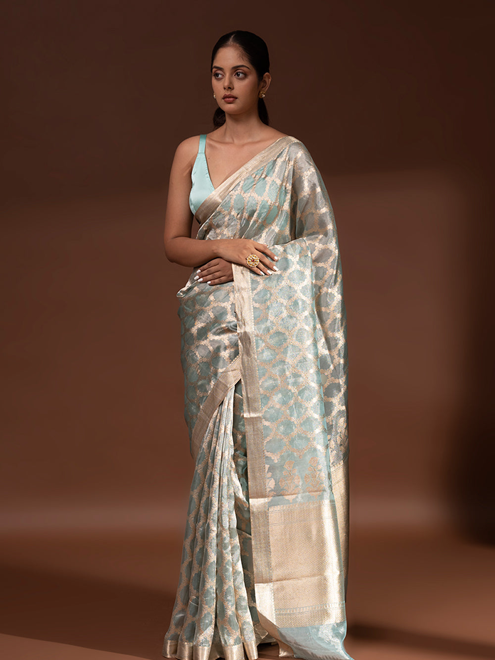 Sea Green Tissue Handloom Banarasi Saree - Sacred Weaves