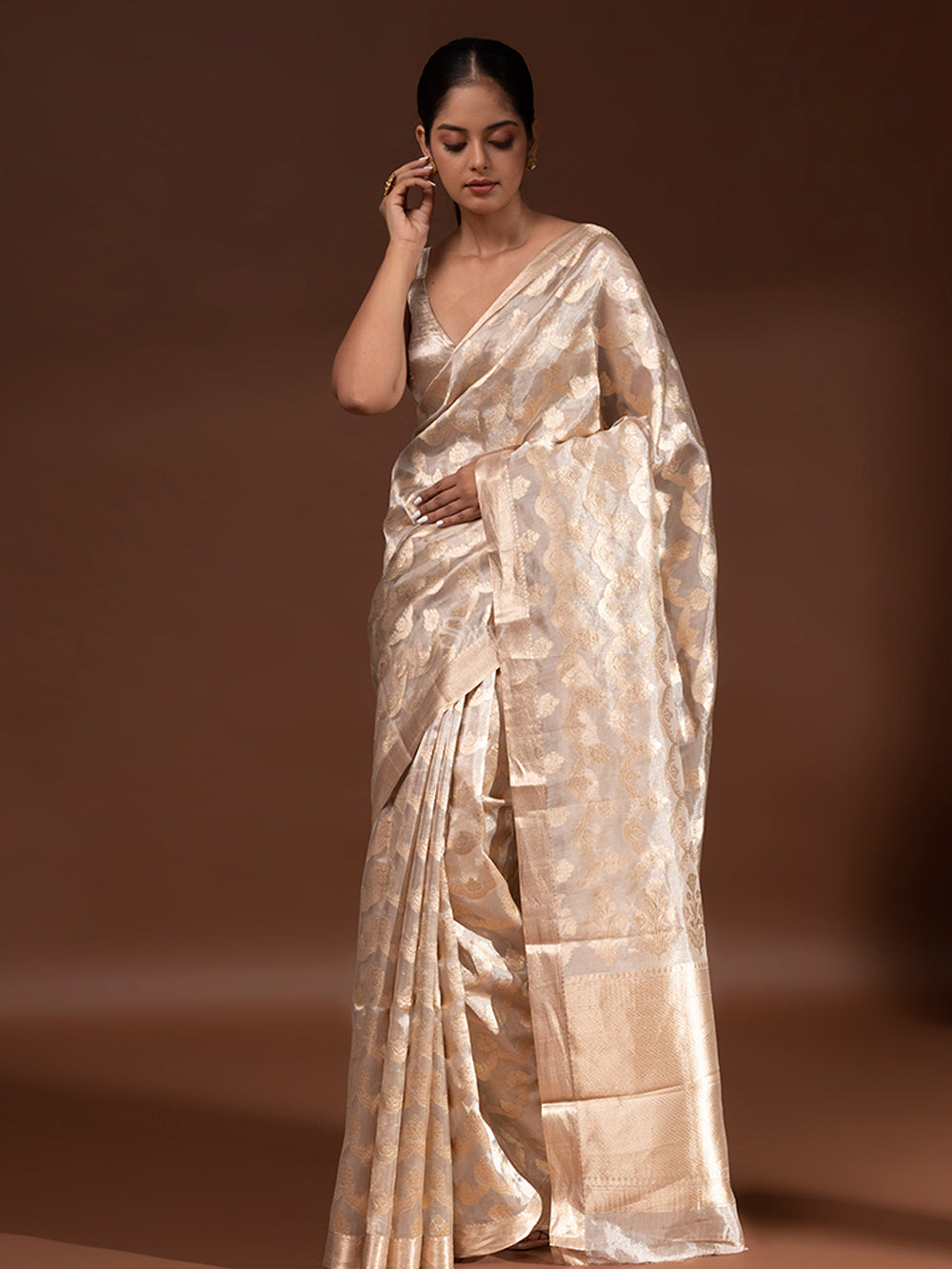 Beige Jaal Tissue Handloom Banarasi Saree - Sacred Weaves
