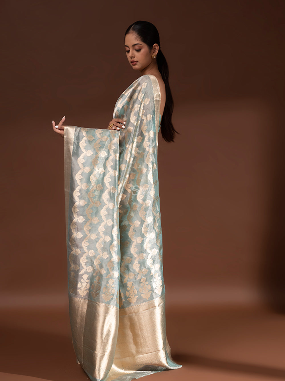 Sea Green Jaal Tissue Handloom Banarasi Saree - Sacred Weaves