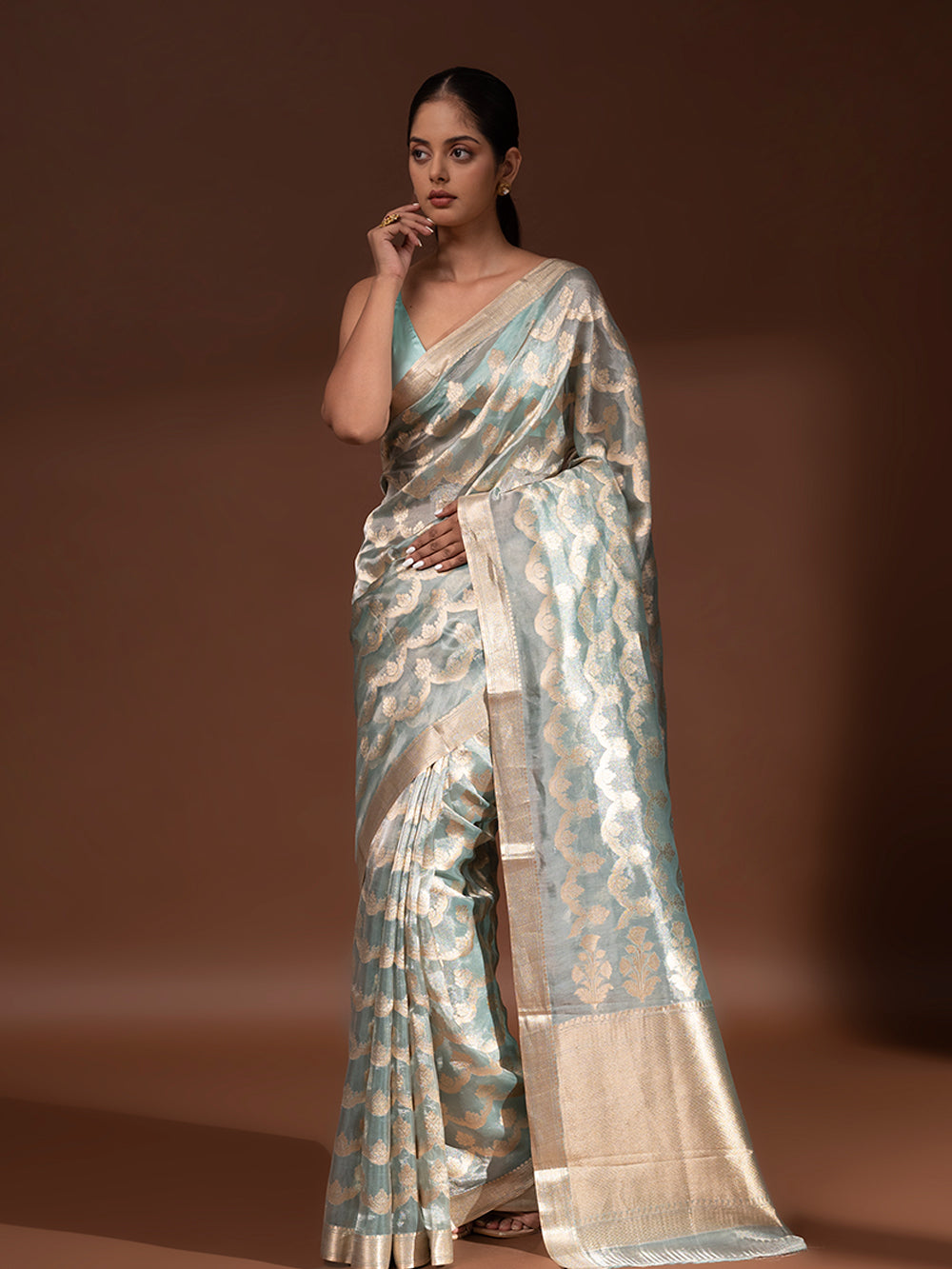 Sea Green Jaal Tissue Handloom Banarasi Saree - Sacred Weaves