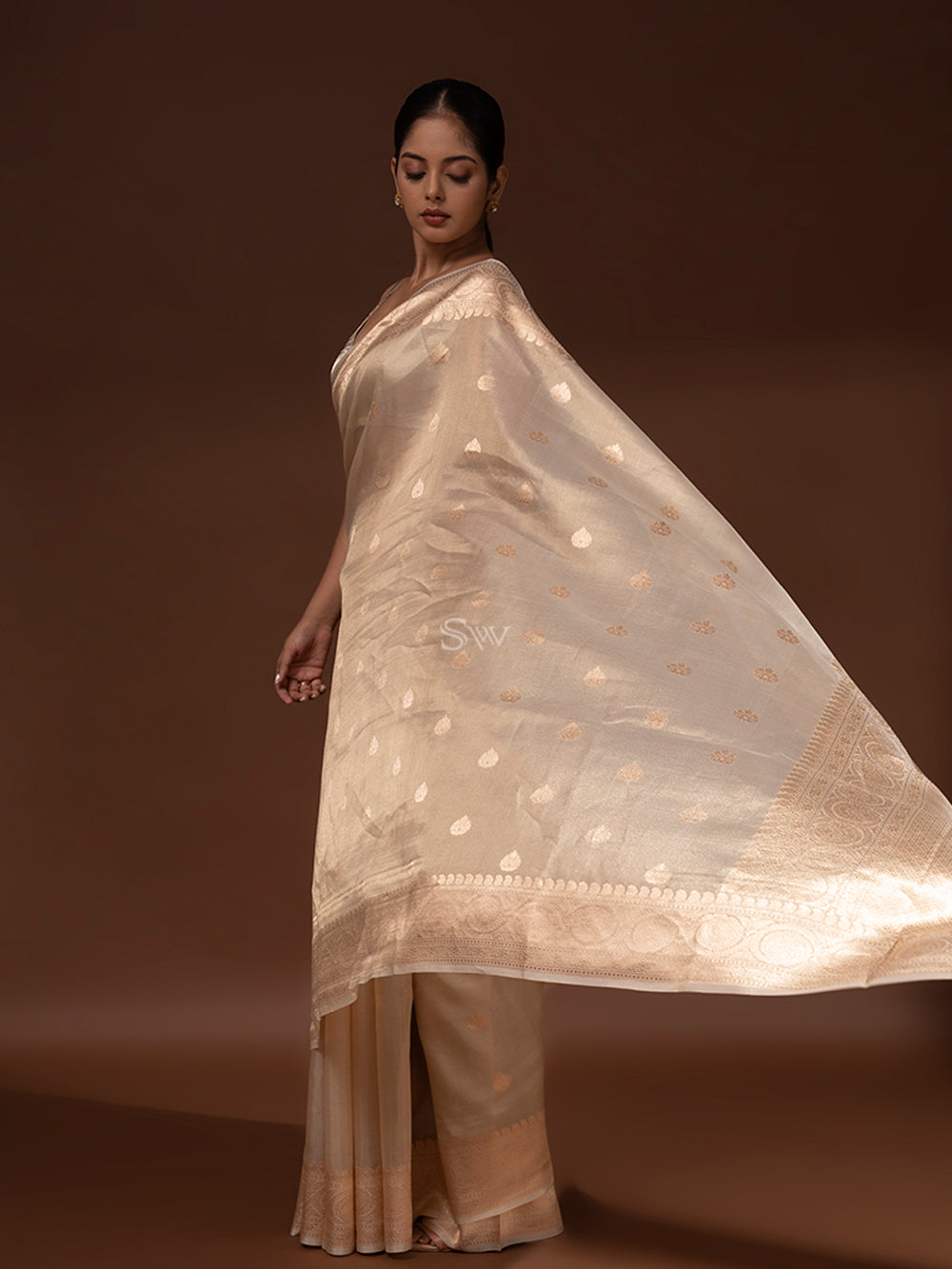 Beige Booti Tissue Handloom Banarasi Saree - Sacred Weaves