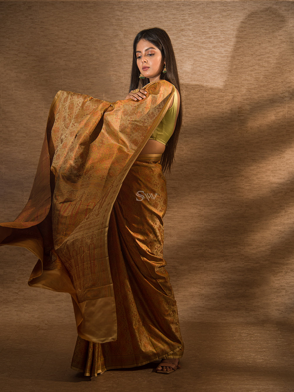 Beige Tanchoi Silk Handloom Banarasi Saree - Sacred Weaves