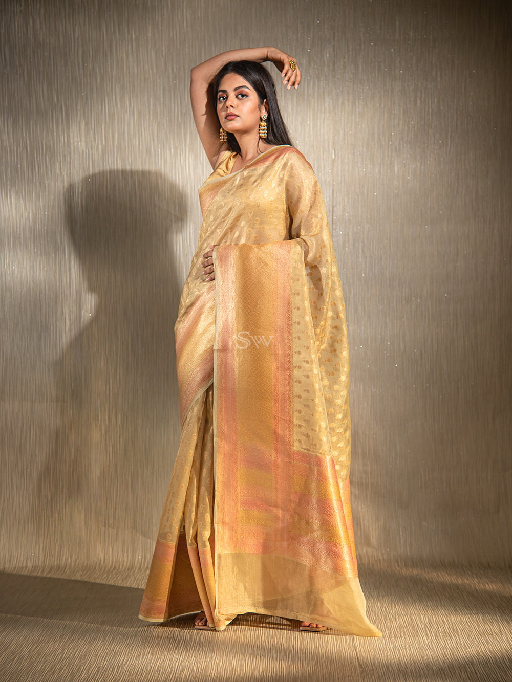 Beige Booti Organza Tissue Handloom Banarasi Saree - Scared Weaves
