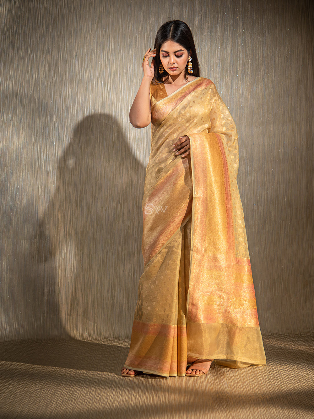 Beige Booti Organza Tissue Handloom Banarasi Saree - Scared Weaves