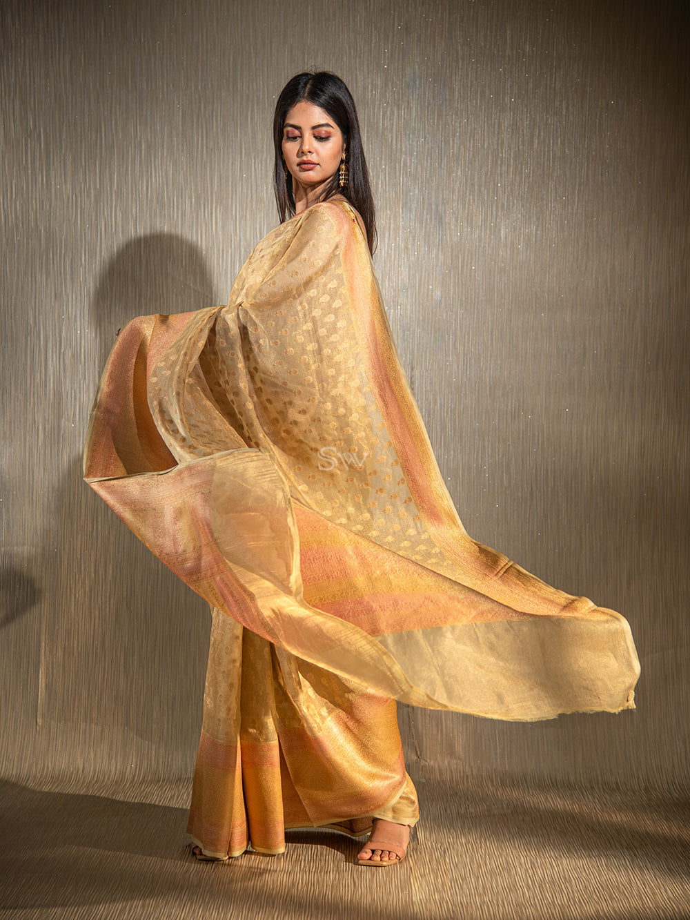 Beige Booti Organza Tissue Handloom Banarasi Saree - Scared Weaves
