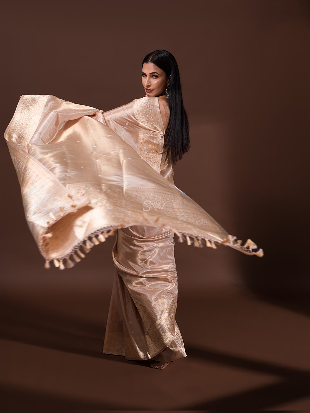 Beige Katan Silk Tissue Handloom Banarasi Saree - Sacred Weaves