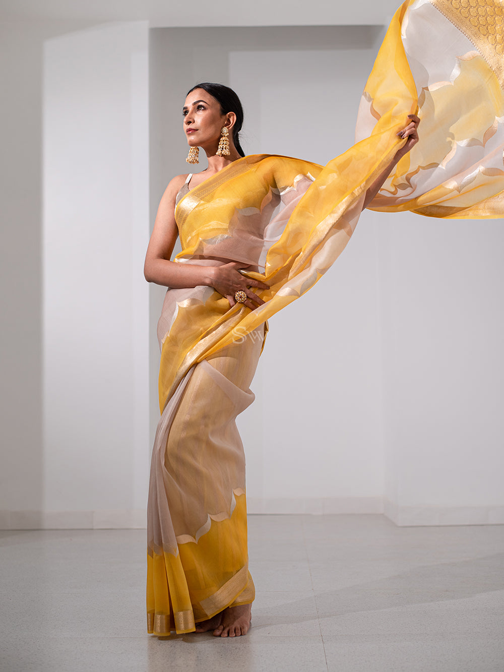 Mustard Beige Rangkat Organza Handloom Banarasi Saree - Sacred Weaves